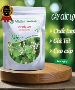 Sản phẩm cây cứt lợn tại Thảo Dược Tấn Phát