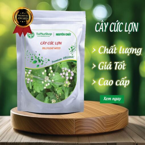 Sản phẩm cây cứt lợn tại Thảo Dược Tấn Phát
