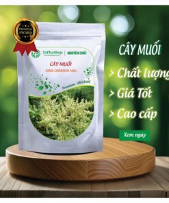 Giới thiệu cây muối của Thảo Dược Tấn Phát