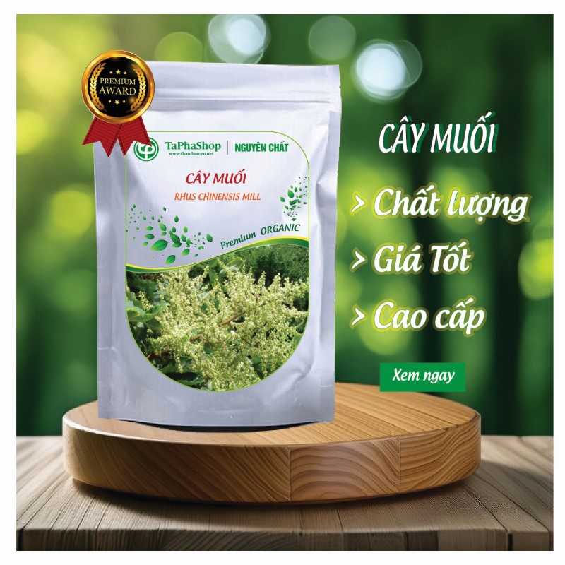 Giới thiệu cây muối của Thảo Dược Tấn Phát
