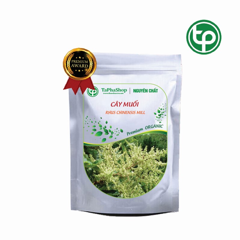 Hướng dẫn sử dụng cây muối hỗ trợ điều trị đau nhức xương khớp