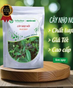 Cây nhọ nhồi tại Thảo Dược Tấn Phát