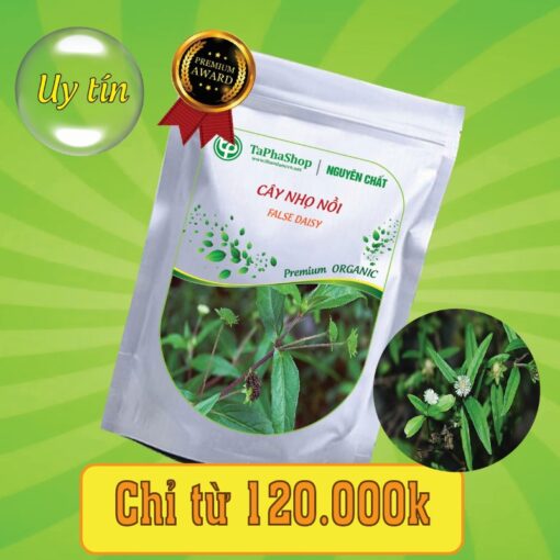 Công dụng của cây nhọ nhồi trong việc điều trị bệnh gan 