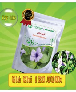 Công dụng nổi bật của cây nổ trong hỗ trợ điều trị sỏi thận
