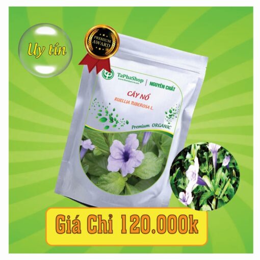 Công dụng nổi bật của cây nổ trong hỗ trợ điều trị sỏi thận