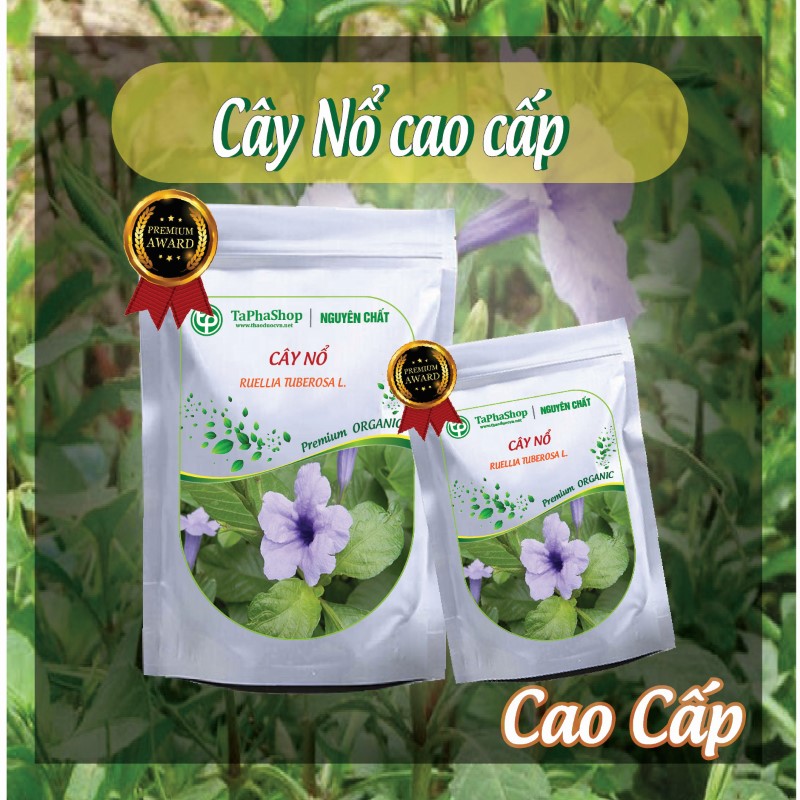 Hướng dẫn sử dụng cây nổ hỗ trợ điều trị sỏi thận đúng cách và an toàn