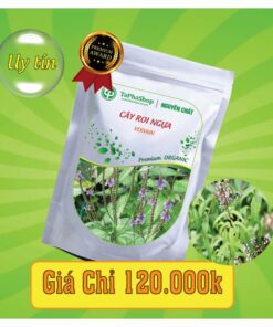 Công dụng cây roi ngựa chữa đau nhức xương khớp