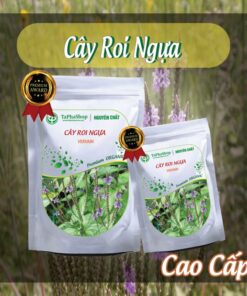 Cách sử dụng cây roi ngựa giảm đau xương khớp