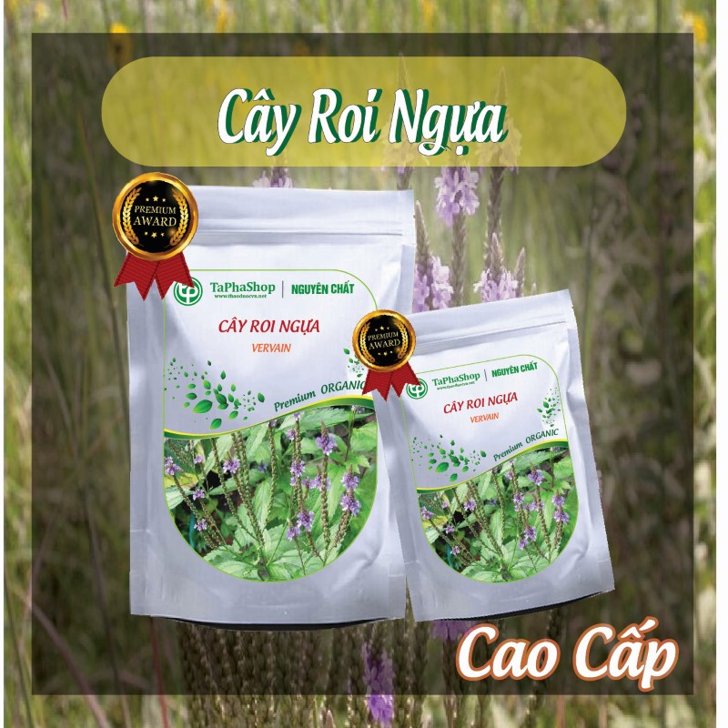 Cách sử dụng cây roi ngựa giảm đau xương khớp