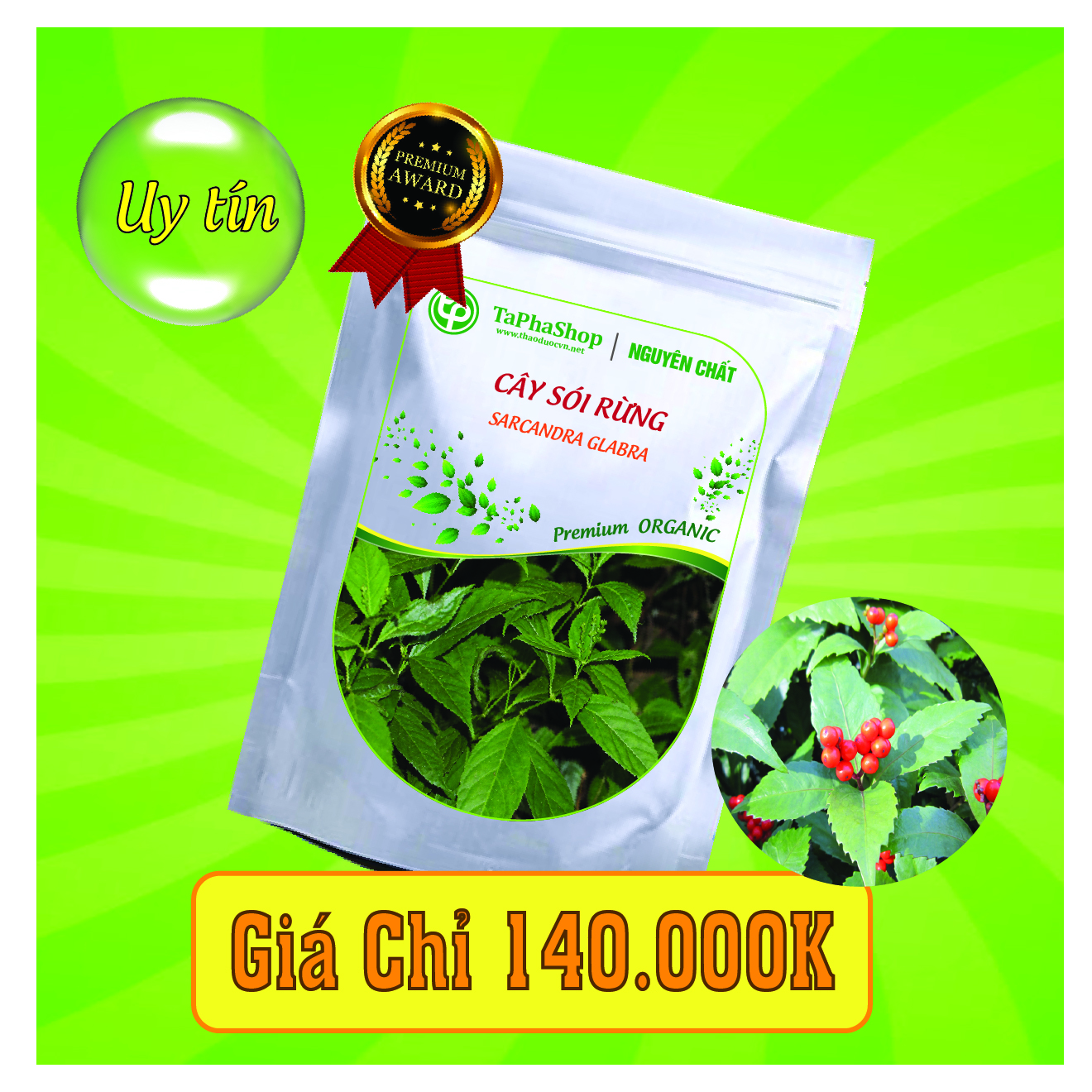 Công dụng cây sói rừng: Giải pháp hỗ trợ điều trị hiệu quả cho người viêm khớp