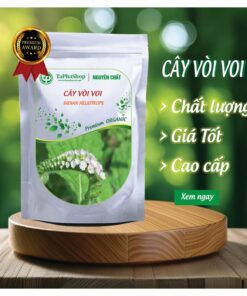 Giới thiệu cây vòi voi của Tấn Phát 