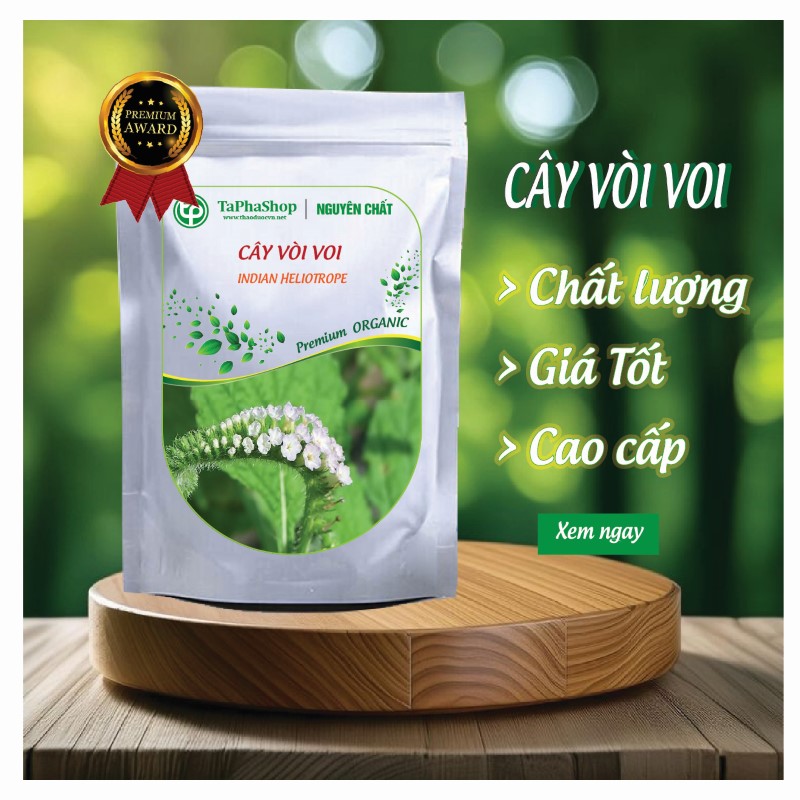 Giới thiệu cây vòi voi của Tấn Phát
