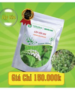 Công dụng nổi bật của cây vòi voi trong việc điều trị viêm khớp 