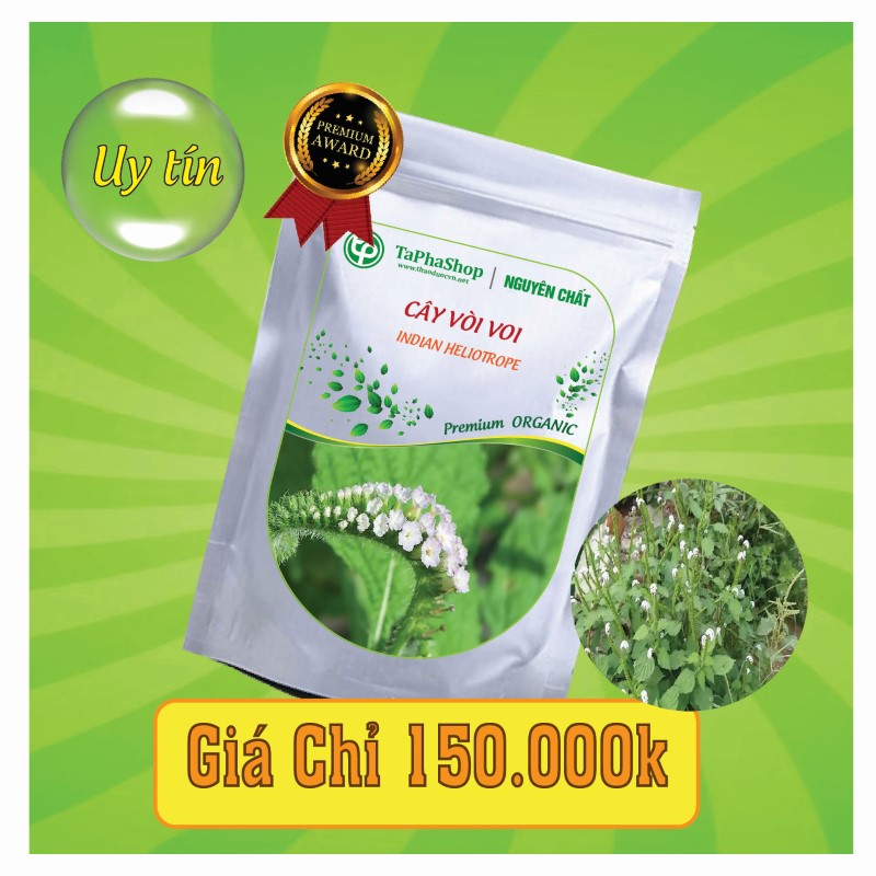 Công dụng nổi bật của cây vòi voi trong việc điều trị viêm khớp