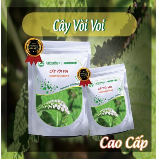 Hướng dẫn sử dụng cây vòi voi hỗ trợ điều trị viêm khớp 