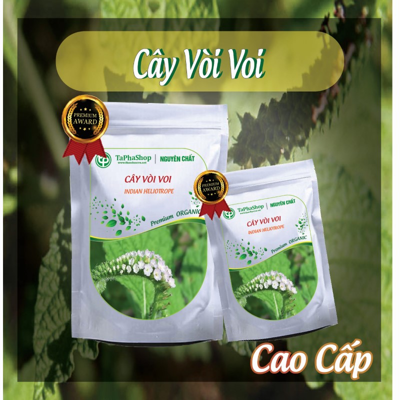 Hướng dẫn sử dụng cây vòi voi hỗ trợ điều trị viêm khớp