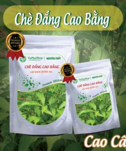 Hướng dẫn sử dụng chè đắng Cao Bằng hỗ trợ điều trị cao huyết áp hiệu quả