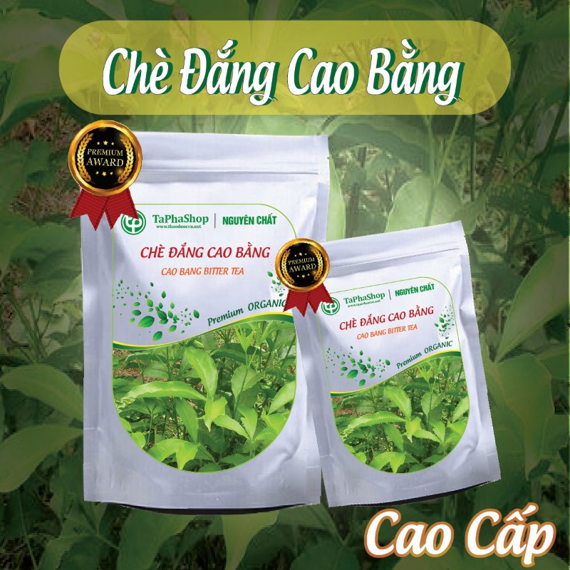 Hướng dẫn sử dụng chè đắng Cao Bằng hỗ trợ điều trị cao huyết áp hiệu quả