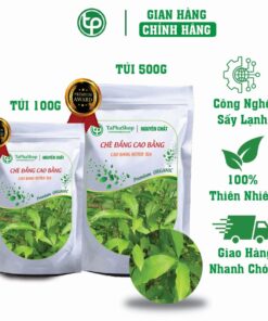 Công dụng chè đắng Cao Bằng trong việc hỗ trợ điều trị cao huyết áp
