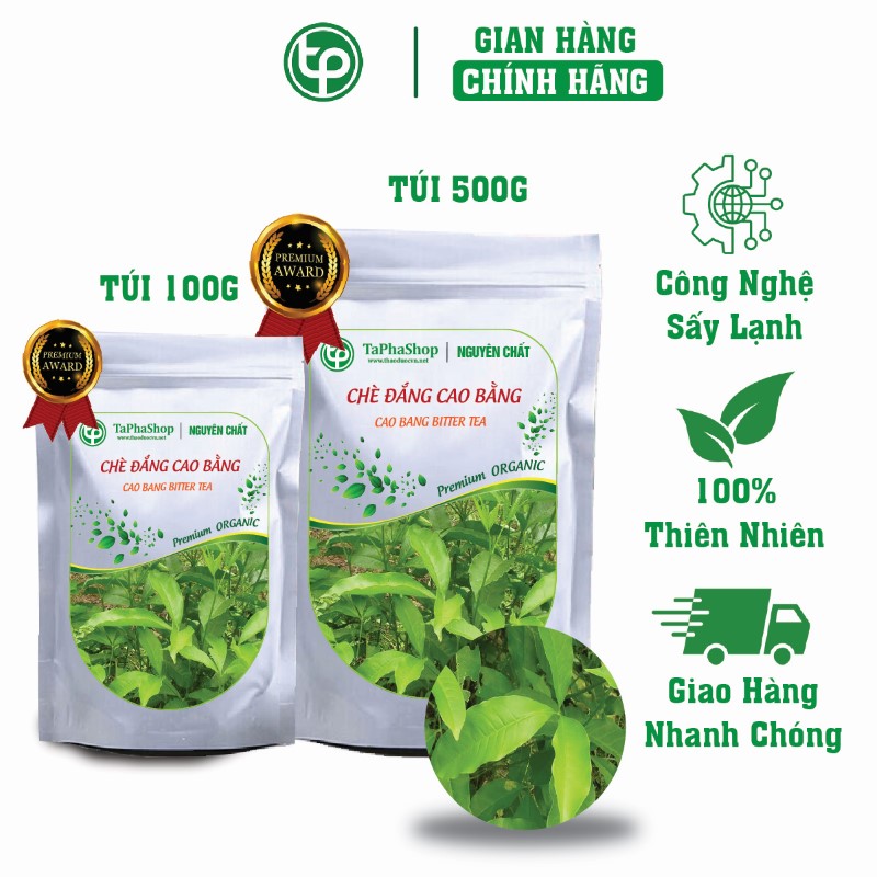 Công dụng chè đắng Cao Bằng trong việc hỗ trợ điều trị cao huyết áp