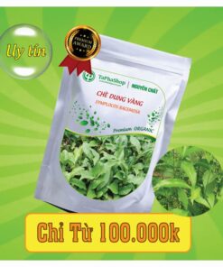 Công dụng nổi bật của chè dung vàng trong việc chữa viêm loét dạ dày