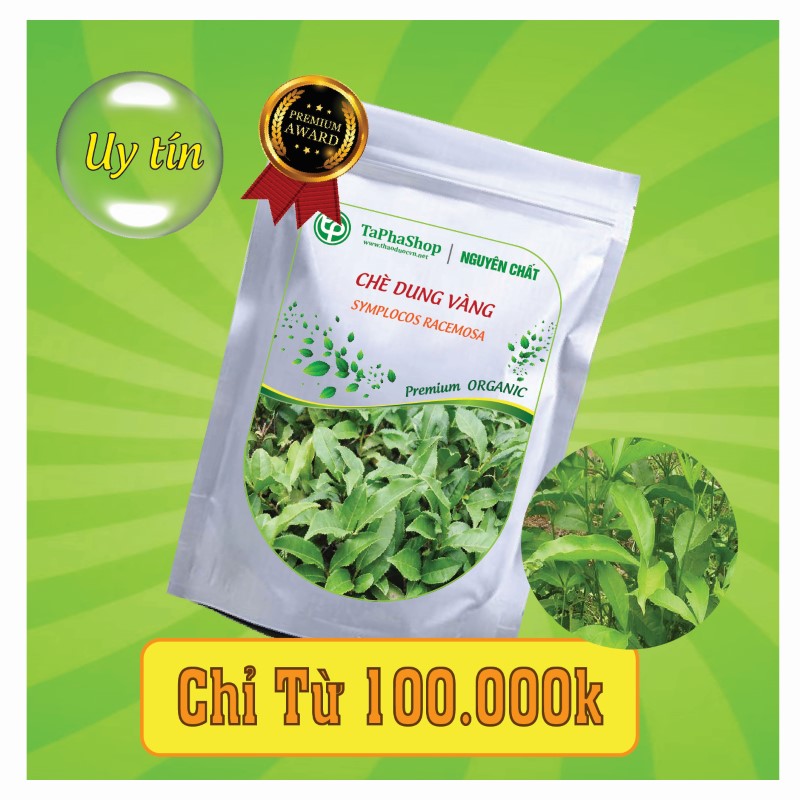 Công dụng nổi bật của chè dung vàng trong việc chữa viêm loét dạ dày