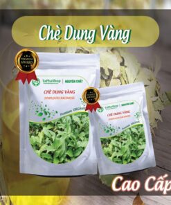 Hướng dẫn sử dụng chè dung vàng hỗ trợ điều trị viêm loét dạ dày hiệu quả