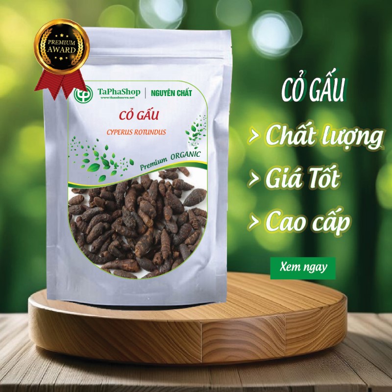 Giới thiệu cỏ gấu Tấn Phát 