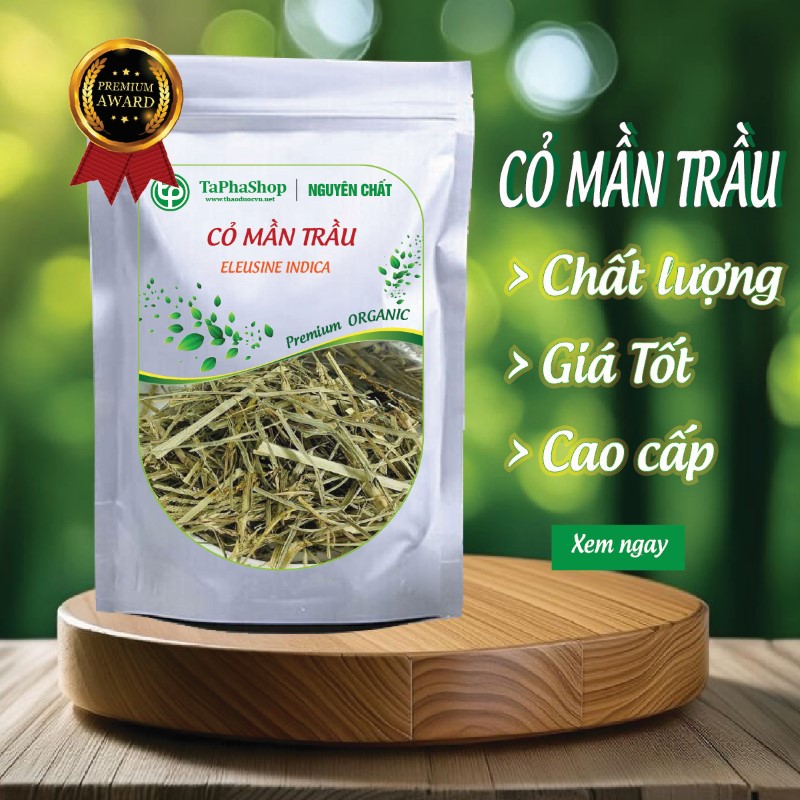 Cỏ mần trầu tại Thảo Dược Tấn Phát 