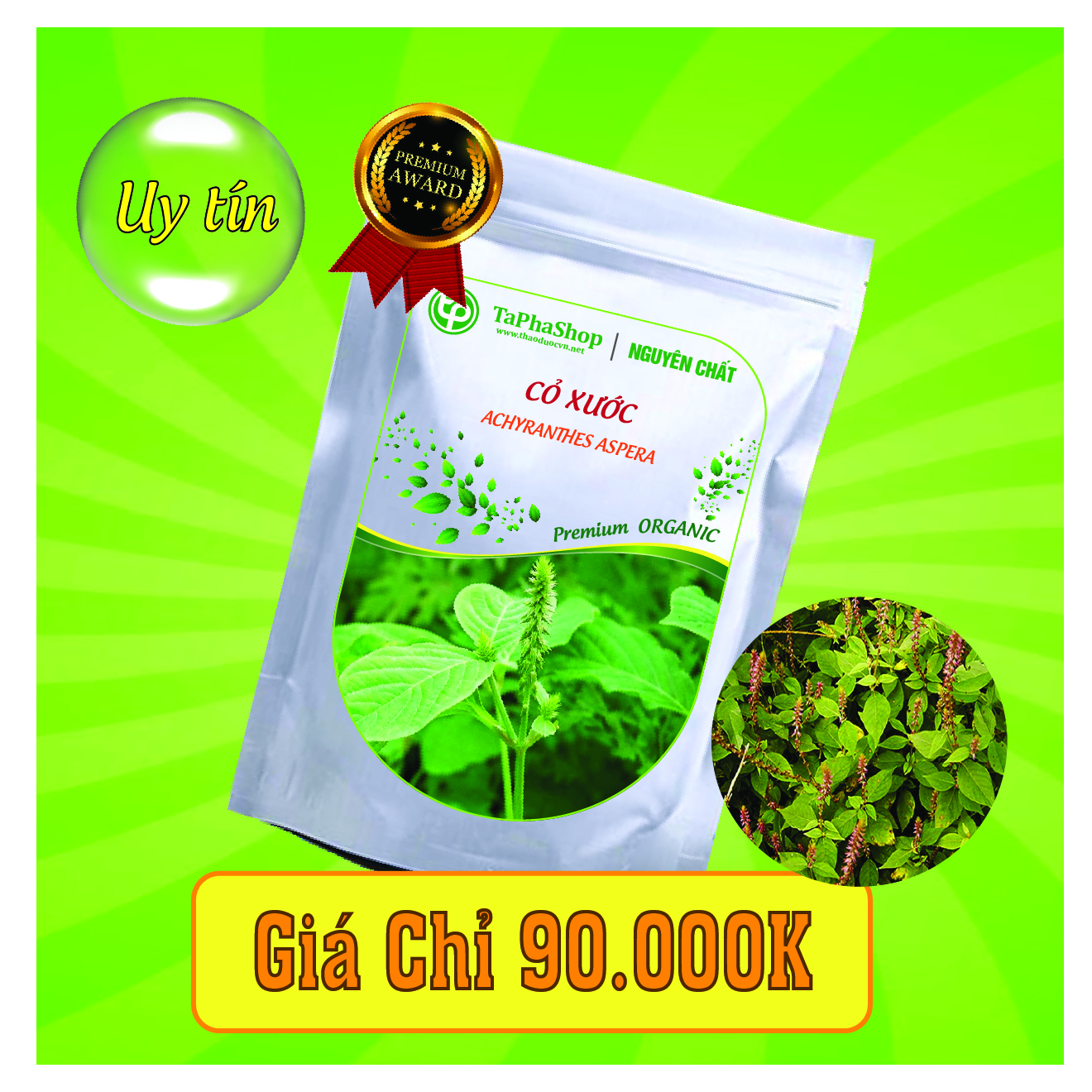 Công dụng cỏ xước trong hỗ trợ điều trị viêm khớp, đau nhức khớp