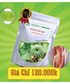 Vì sao cối xay giúp hỗ trợ điều trị sỏi thận hiệu quả?