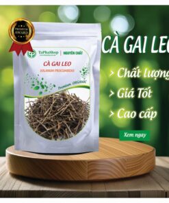 Cà gai leo thảo dược Tấn Phát