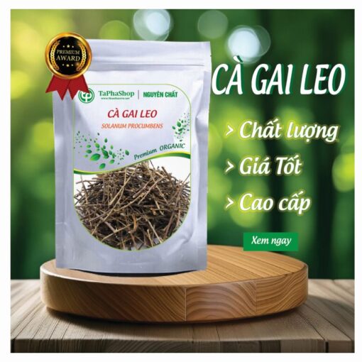 Cà gai leo thảo dược Tấn Phát