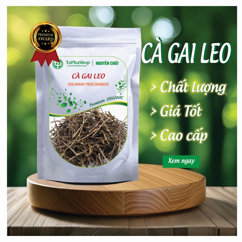 Cà gai leo thảo dược Tấn Phát