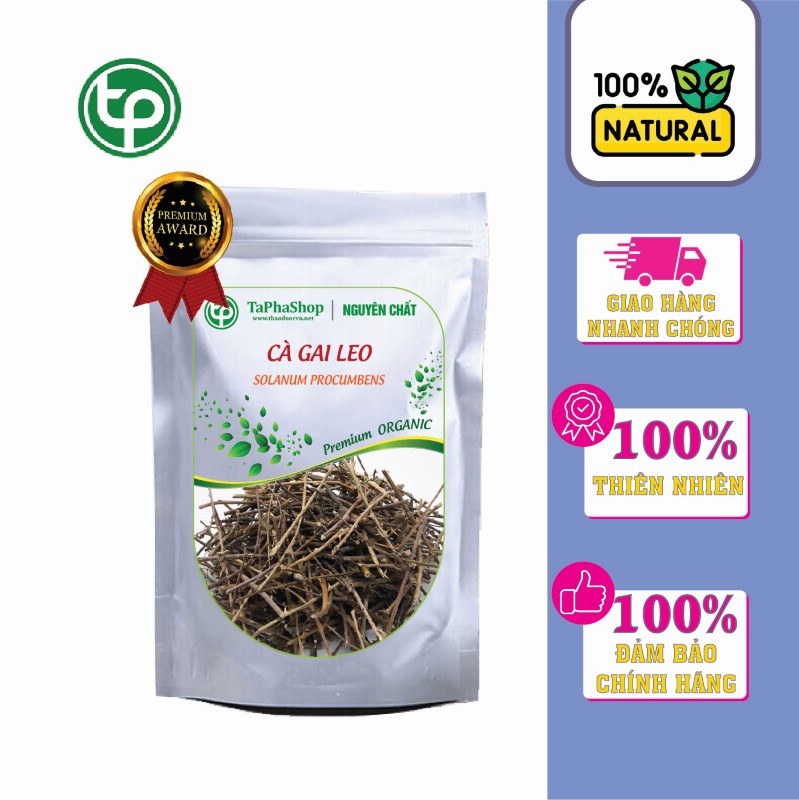 Giới thiệu cà gai leo của Thảo Dược Tấn Phát
