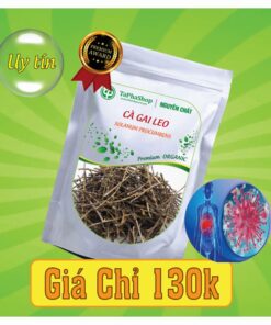 Cách dùng & đối tượng sử dụng cà gai leo Tấn Phát 