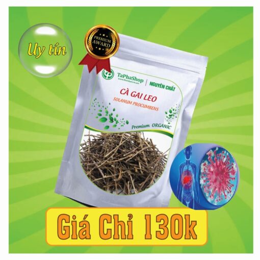 Cách dùng & đối tượng sử dụng cà gai leo Tấn Phát 