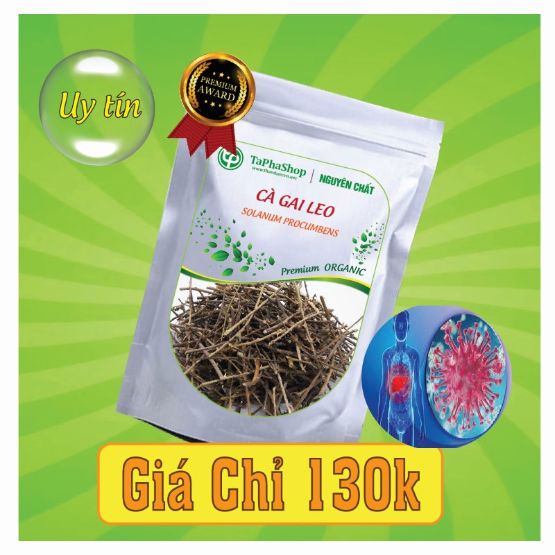 Cách dùng & đối tượng sử dụng cà gai leo Tấn Phát