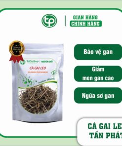 Công dụng nổi bật của cà gai leo trong việc hỗ trợ điều trị bệnh gan 