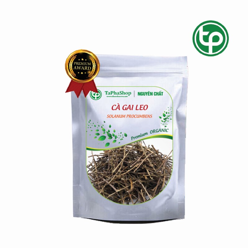 Công dụng y khoa của cà gai leo trong hỗ trợ điều trị xơ gan