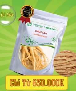 Công dụng của đẳng sâm trong việc chữa suy nhược cơ thể 