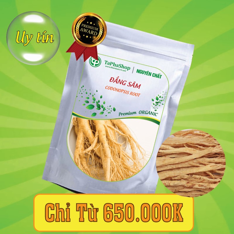 Công dụng của đẳng sâm trong việc chữa suy nhược cơ thể 
