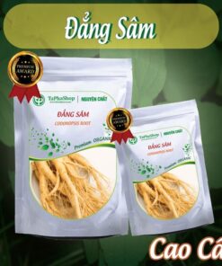 Hướng dẫn sử dụng đẳng sâm hỗ trợ điều trị suy nhược cơ thể