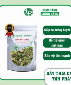 Công dụng và tác dụng y khoa của dây thìa canh