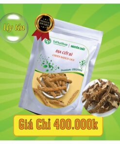 Công dụng y khoa của địa cốt bì trong hỗ trợ điều trị đau lưng
