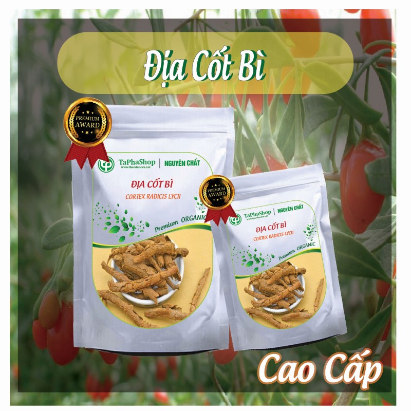 Cách dùng địa cốt bì hỗ trợ điều trị đau lưng hiệu quả
