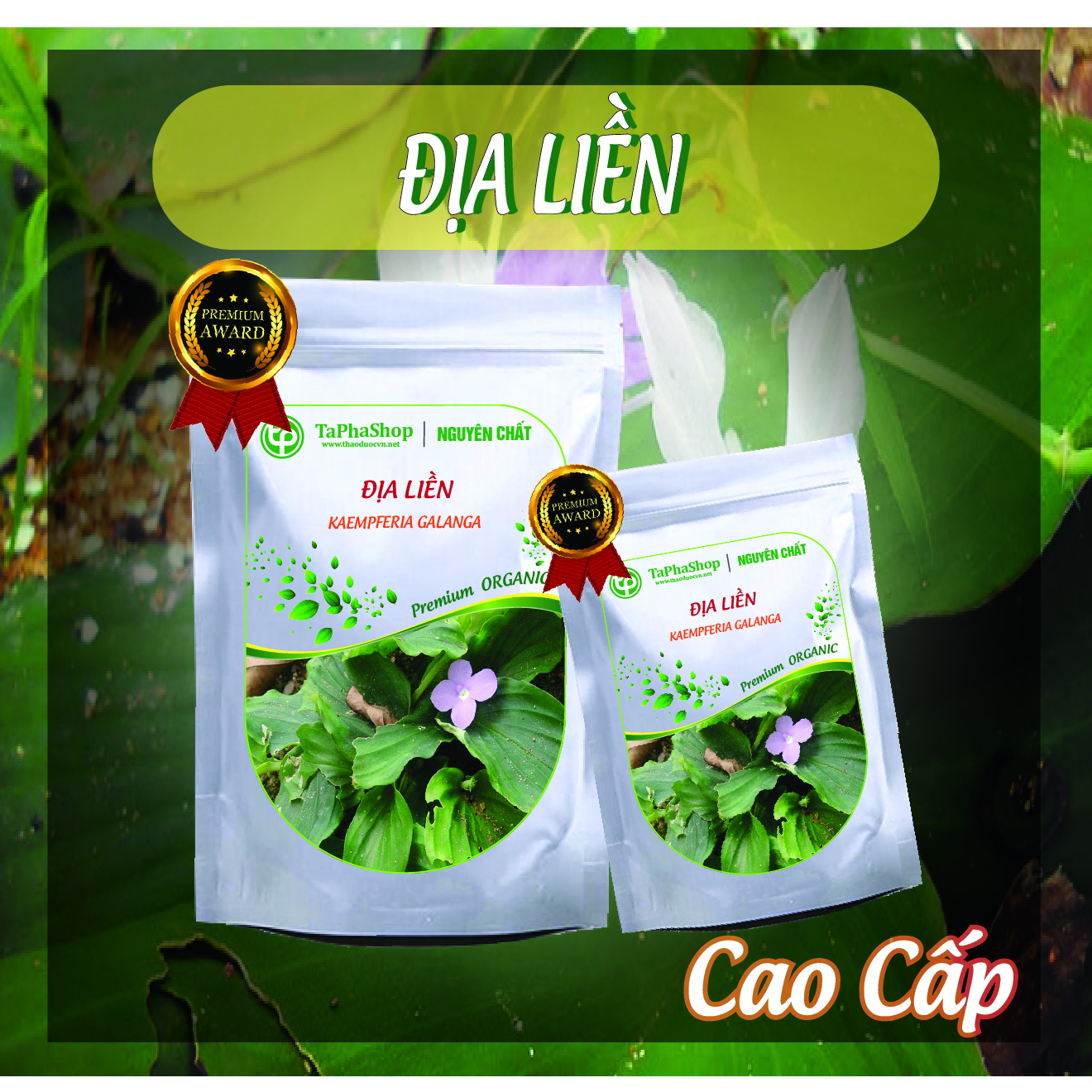 Hướng dẫn sử dụng địa liền cho người đau nhức xương khớp