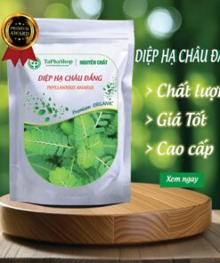 Giới thiệu diệp hạ châu đắng của Thảo Dược Tấn Phát