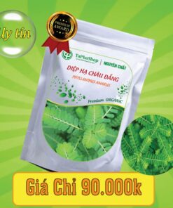 Lý do nên chọn diệp hạ châu đắng hỗ trợ điều trị viêm gan