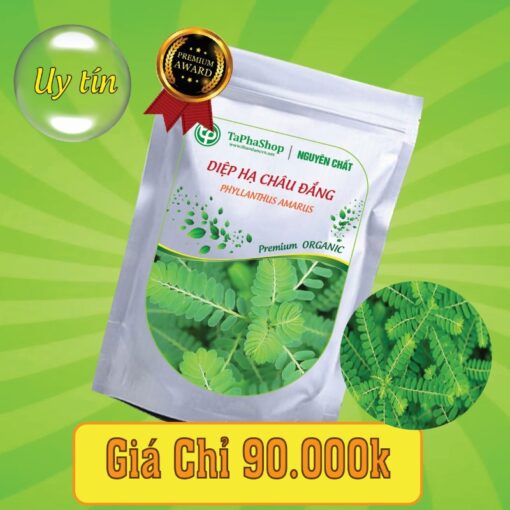 Lý do nên chọn diệp hạ châu đắng hỗ trợ điều trị viêm gan